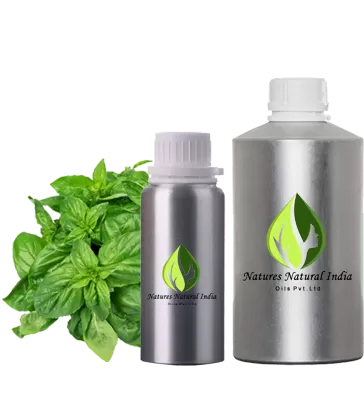 Holi basil essential oil