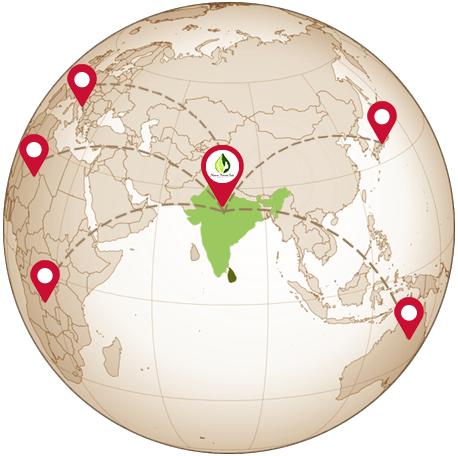 globe